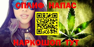 мдпв Камышлов