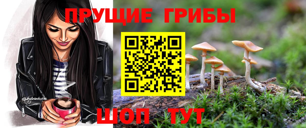купить наркотики сайты  Вход с VPN  Кудрово  Галлюциногенные грибы MAGIC MUSHROOMS 